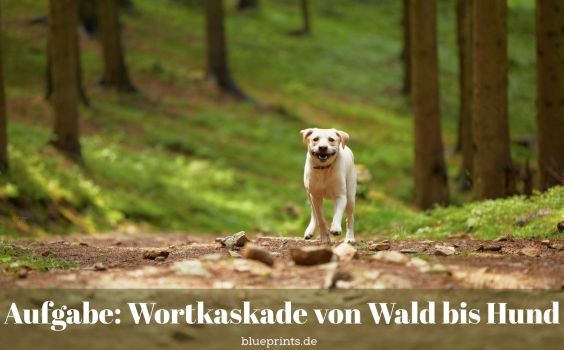 Ein Hund läuft im Wald