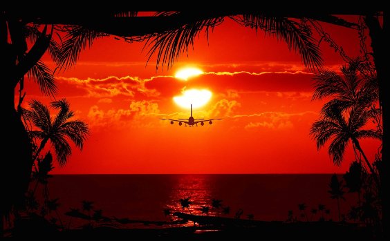 Flugzeug fliegt in den Sonnenuntergang