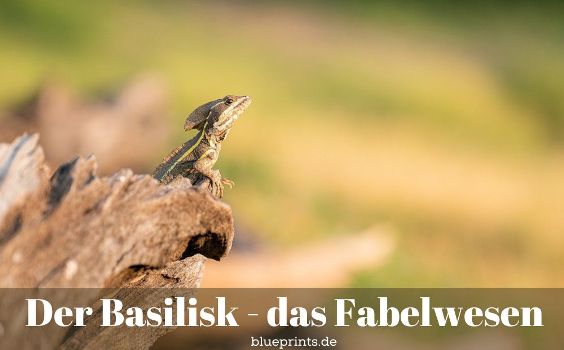 Basilisk fabelwelt 564