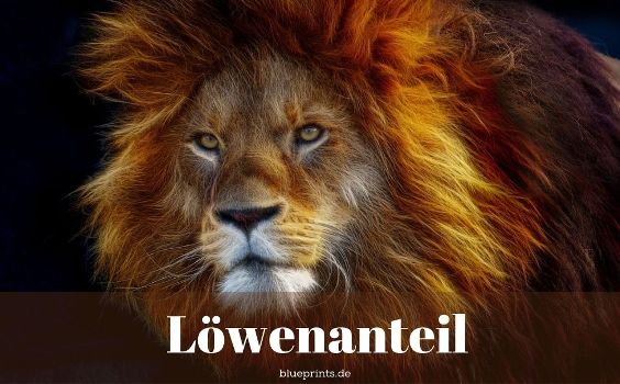 Löwenanteil Sprichwort
