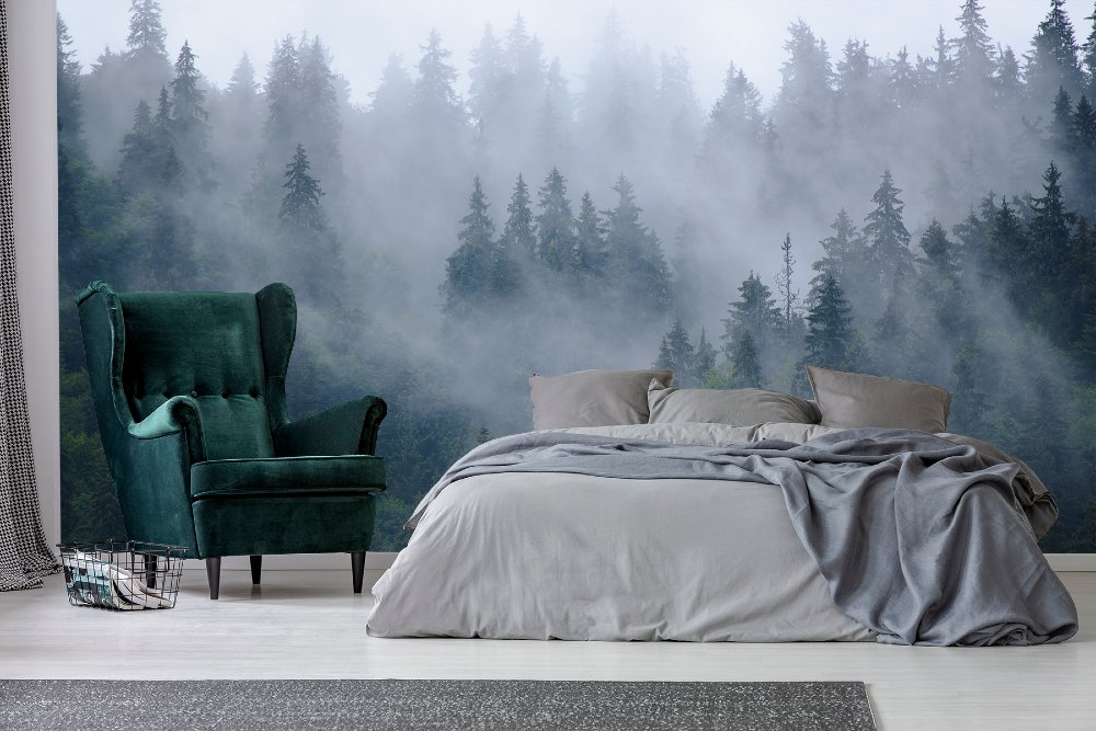 Fototapete Wald Nebel 1000